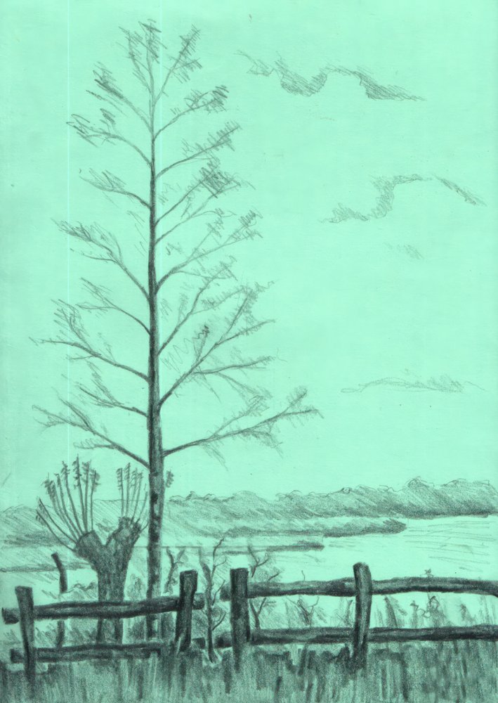  de Kulik