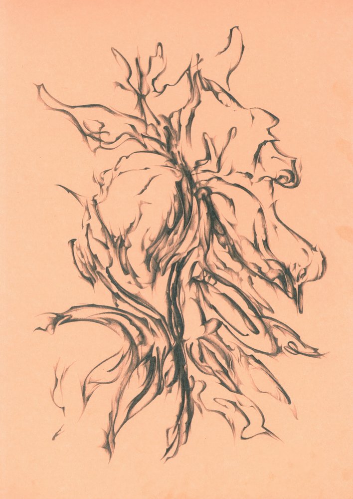  de Kulik