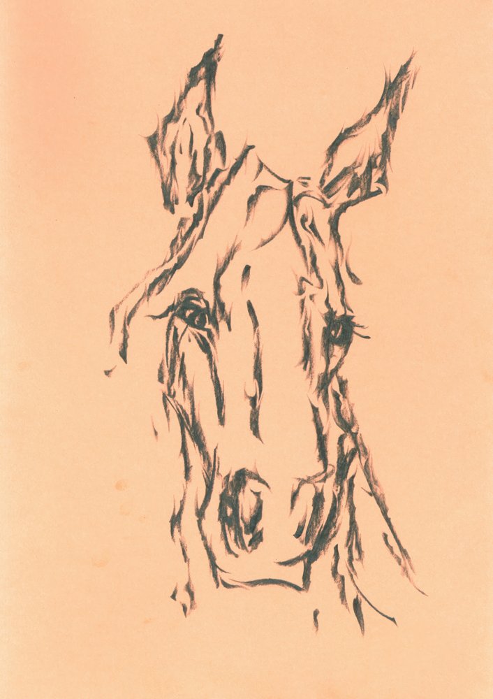  de Kulik