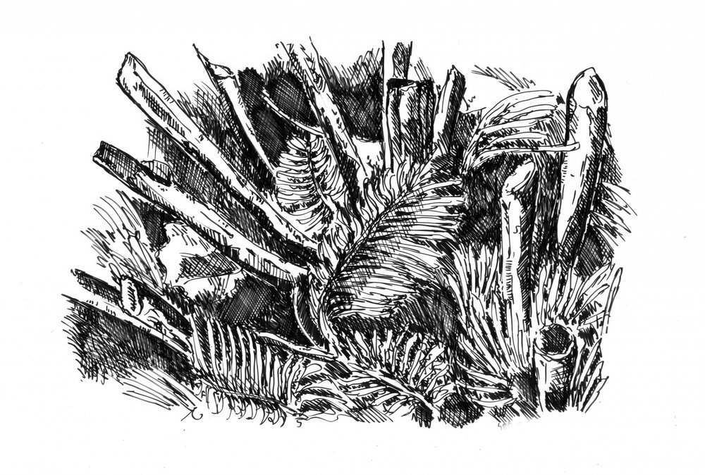  de Kulik