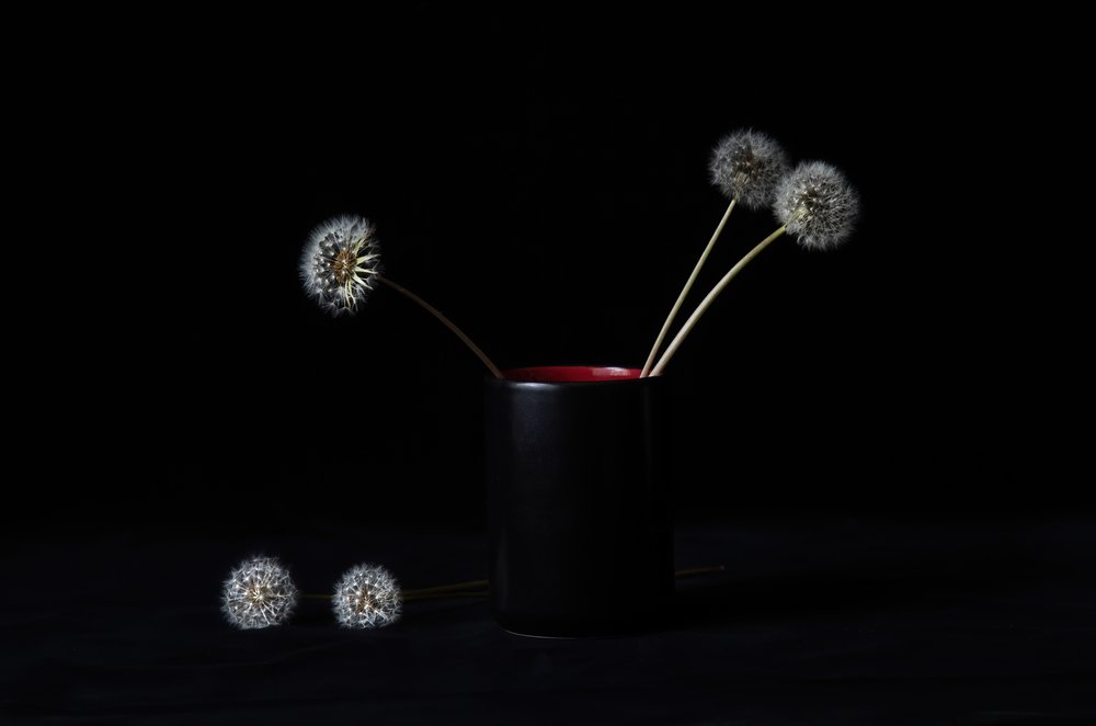 Jarrón «Dandelions» elegante de LM Meng