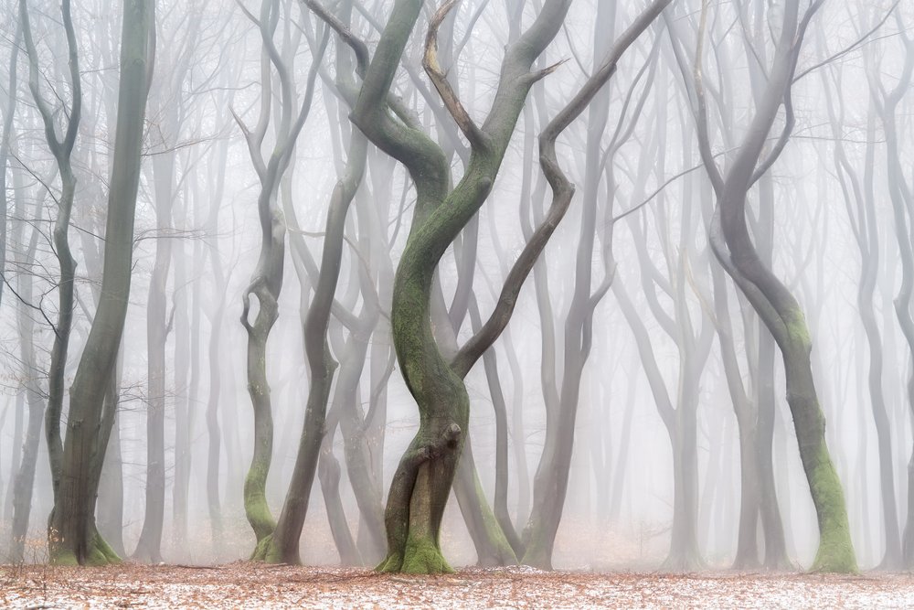  de Lars van de Goor †