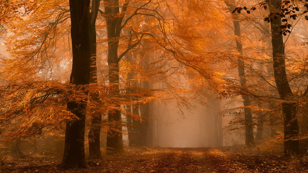  de Lars van de Goor †