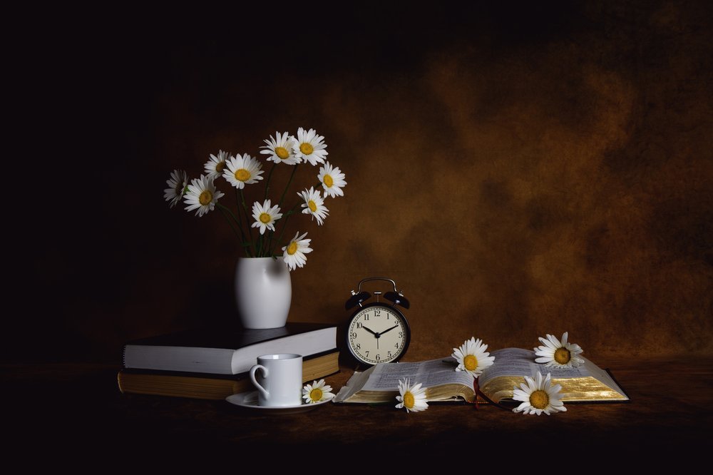 Daisies Books: Paz matutina de Leah Xu
