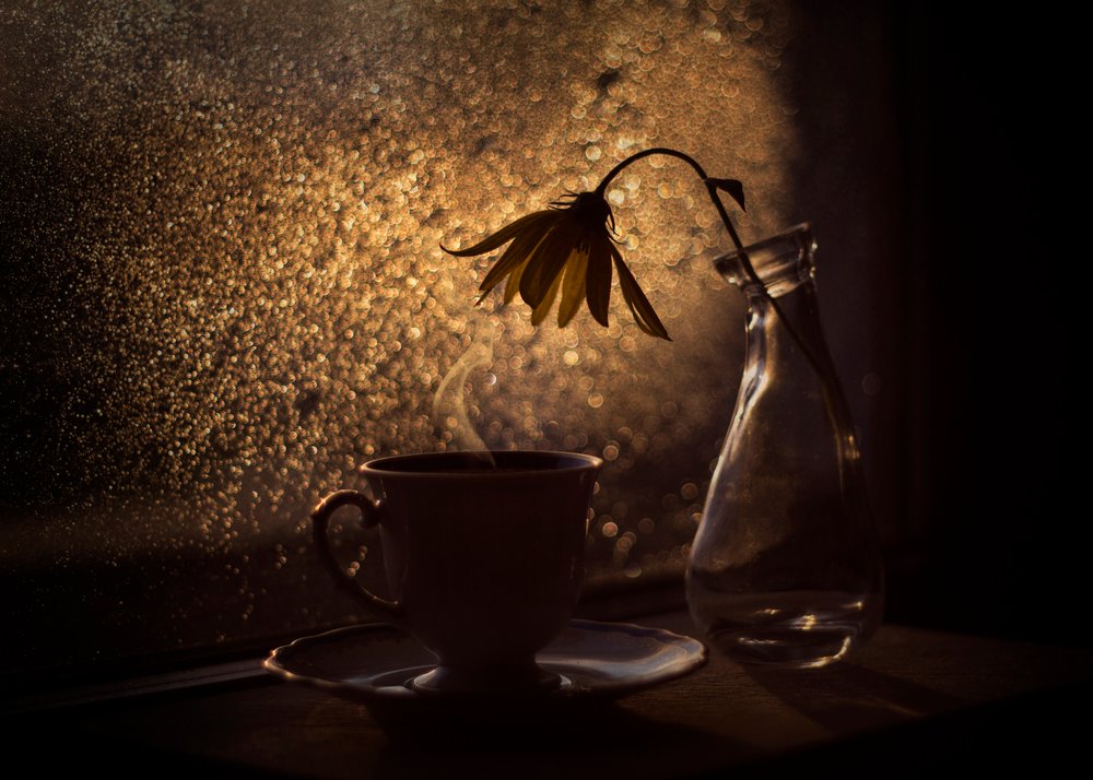 Flor de café «Golden Light» de Lenka
