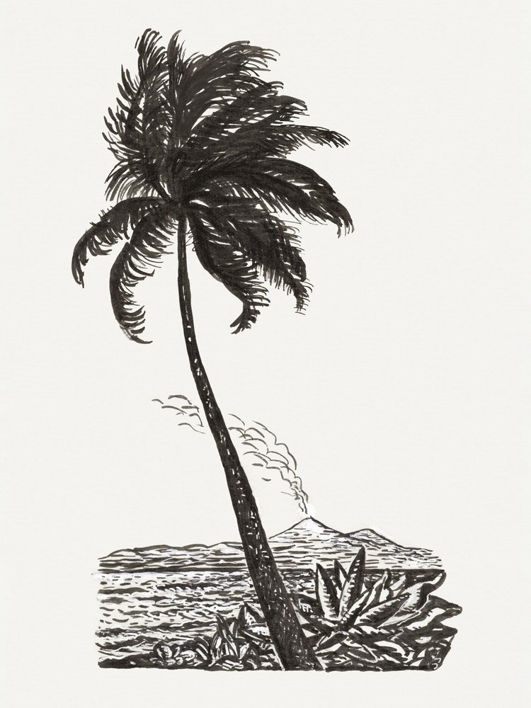 Palmera con una isla (h. 1891-1941) de Leo Gestel