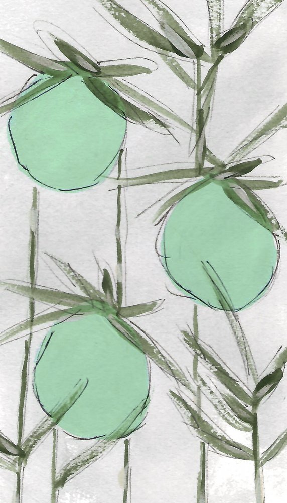 Resumen: Green Botanicals de Lori Ann Folz