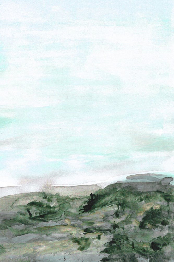Paisaje costero verde y tranquilo de Lori Ann Folz