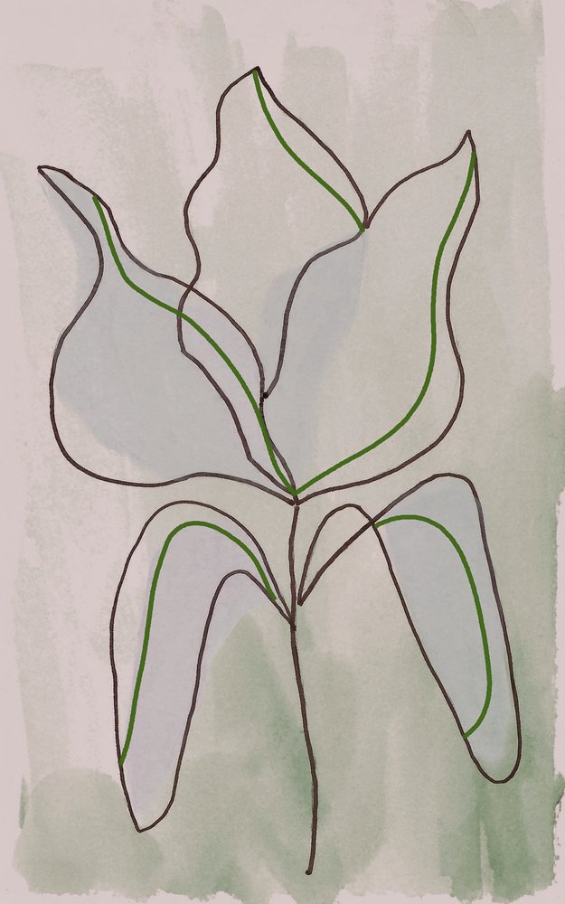 Contorno botánico minimalista de Lori Ann Folz