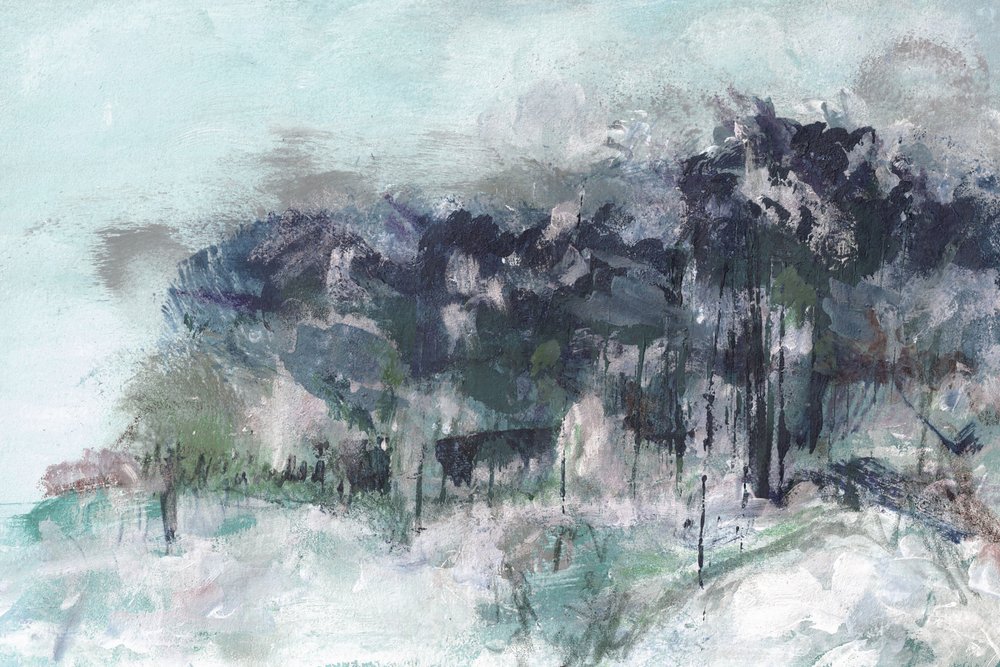 Bosque invernal brumoso de Lori Ann Folz