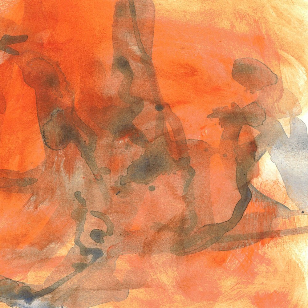 Resumen de «Orange Fluid» de Lori Ann Folz