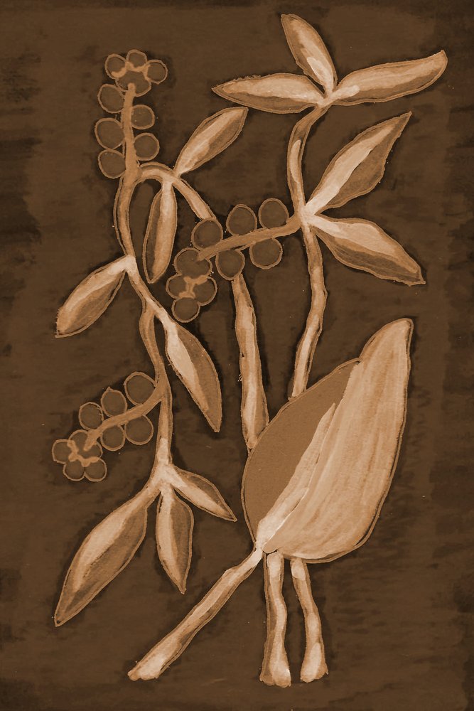 Productos botánicos orgánicos de sepia de Lori Ann Folz