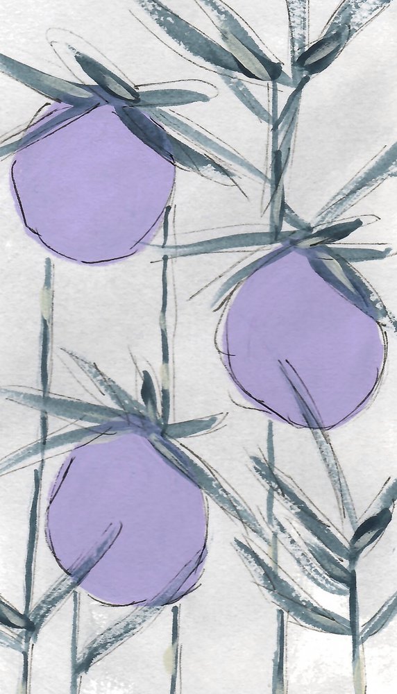 Frutas botánicas de color morado de Lori Ann Folz