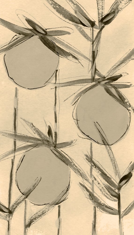 Plantas de algodón sepia de Lori Ann Folz