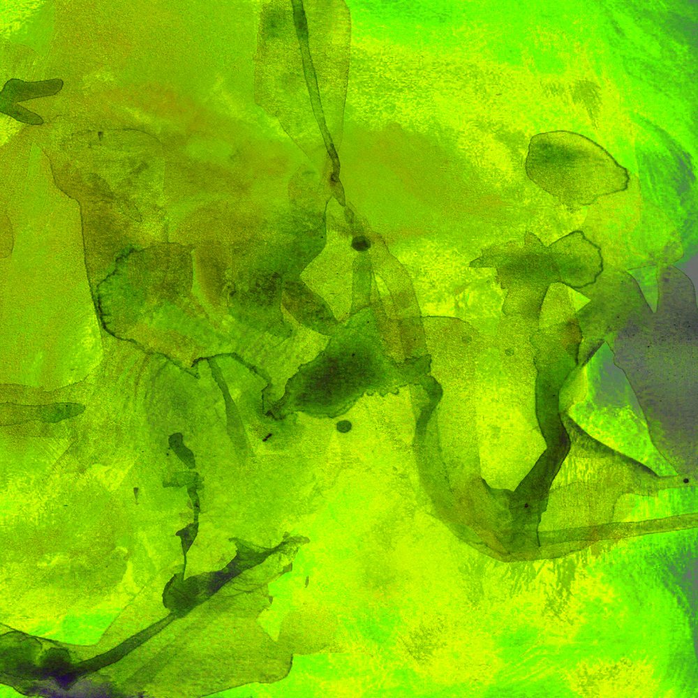 Abstracto fluido en verde intenso de Lori Ann Folz