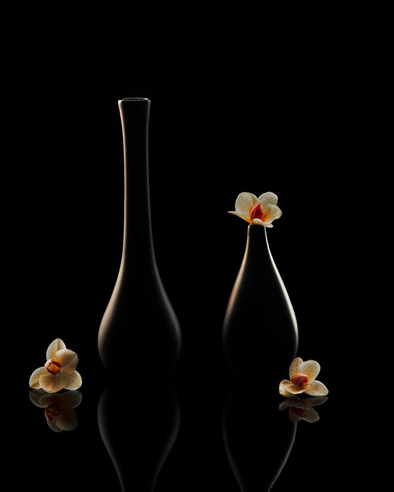 Elegantes reflexiones sobre las orquídeas de Louie Luo