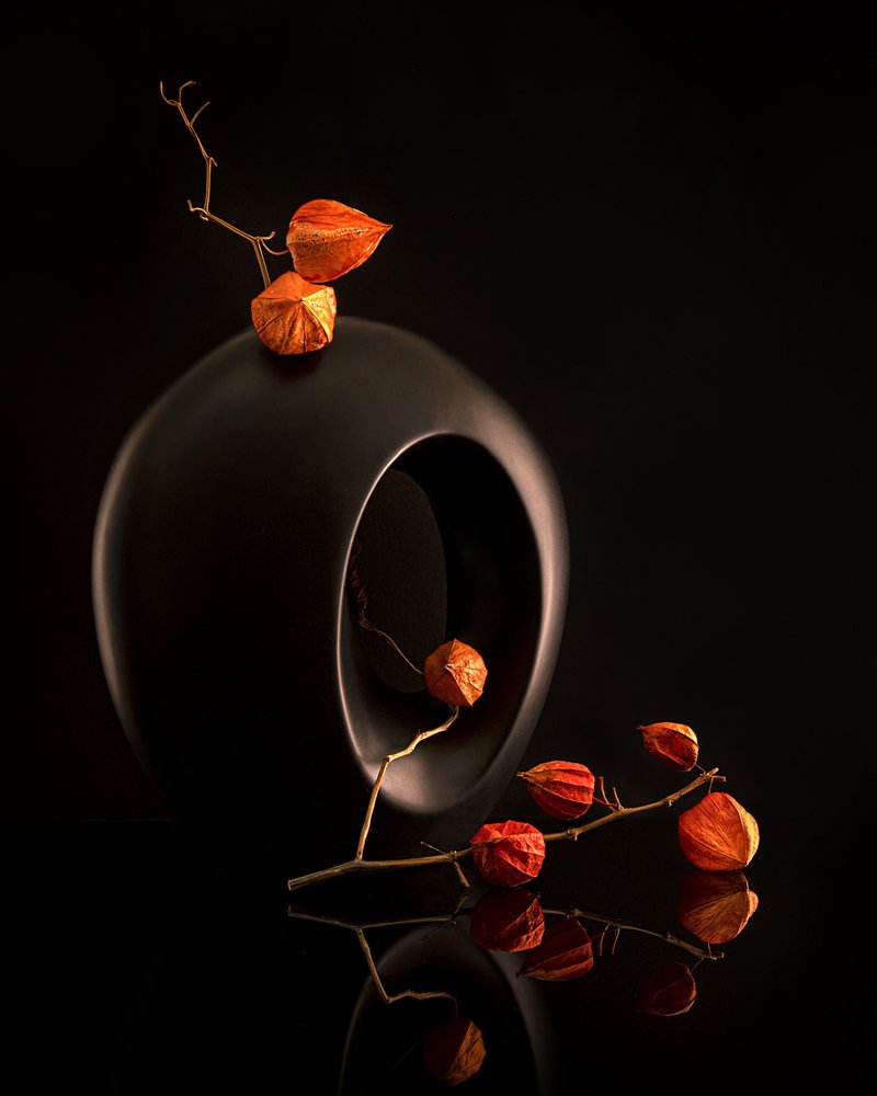 Jarrón negro de Orange Botanicals de Louie Luo