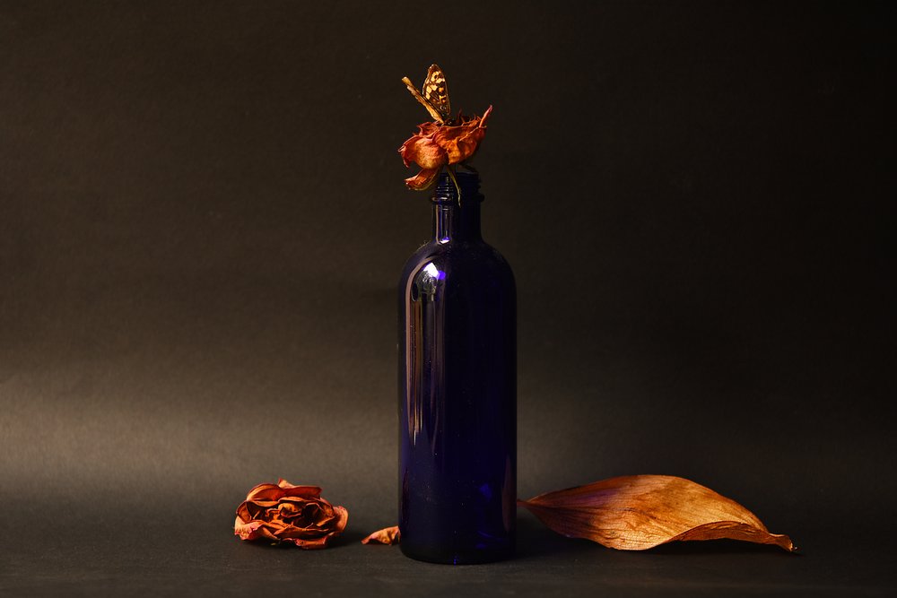 Rosa seca en una botella azul de Ludmila Shumilova