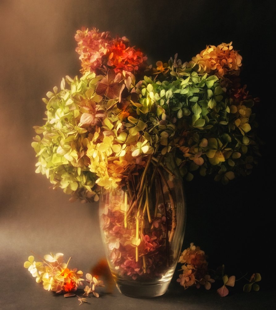 Bodegón con hortensias desvanecidas de Ludmila Shumilova