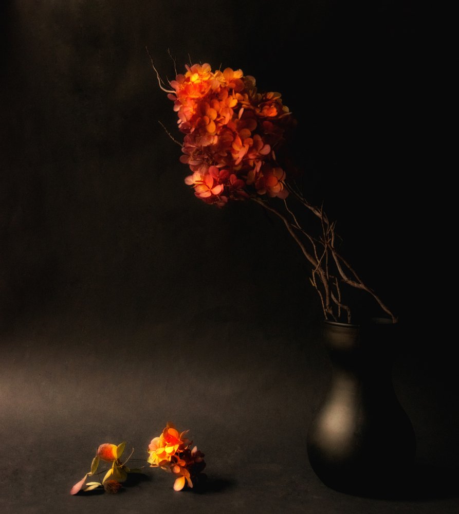 Flores otoñales melancólicas de Ludmila Shumilova