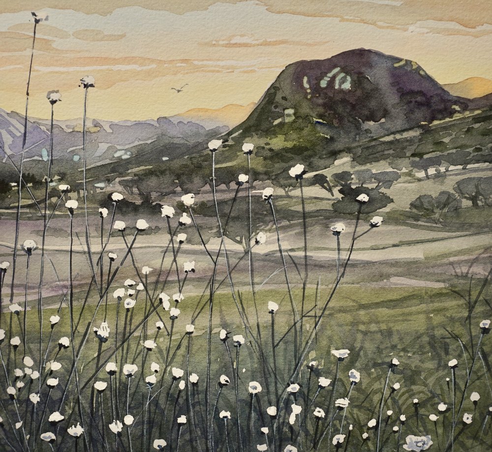 Flores silvestres de Golden Sky de Luisa Millicent