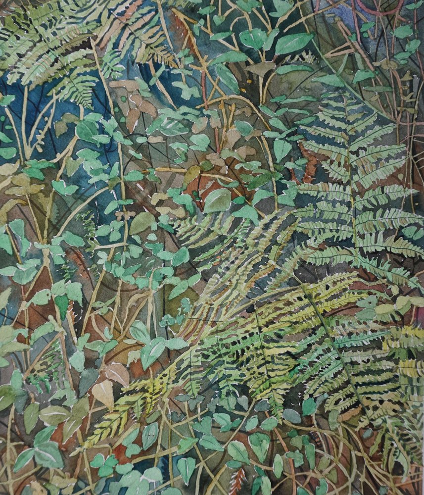 Helechos del frondoso bosque de Luisa Millicent