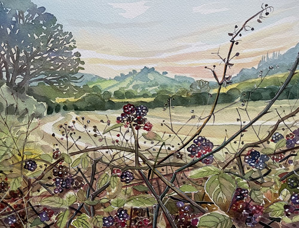 Paisaje de moras maduras de Luisa Millicent