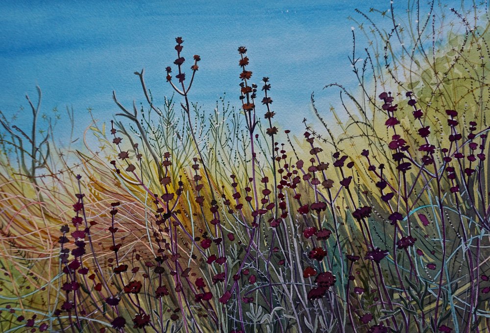 Pradera silvestre llena de vida de Luisa Millicent