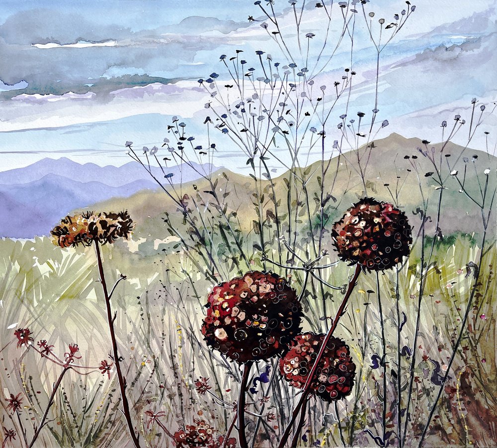 Flores silvestres y montañas de Luisa Millicent