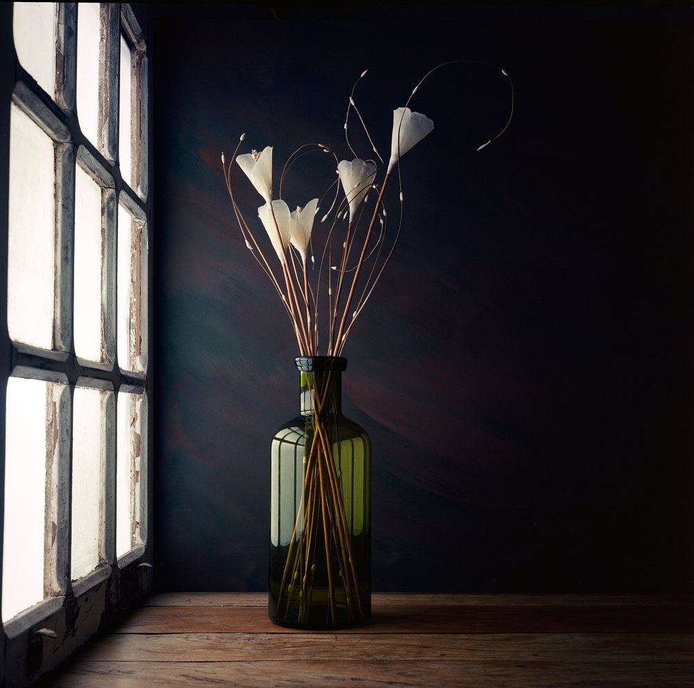 Naturaleza muerta con luz de ventana de Luiz Laercio