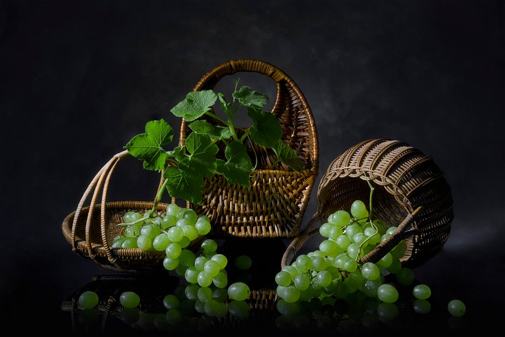 Naturaleza muerta con uvas en abundancia de Lydia Jacobs