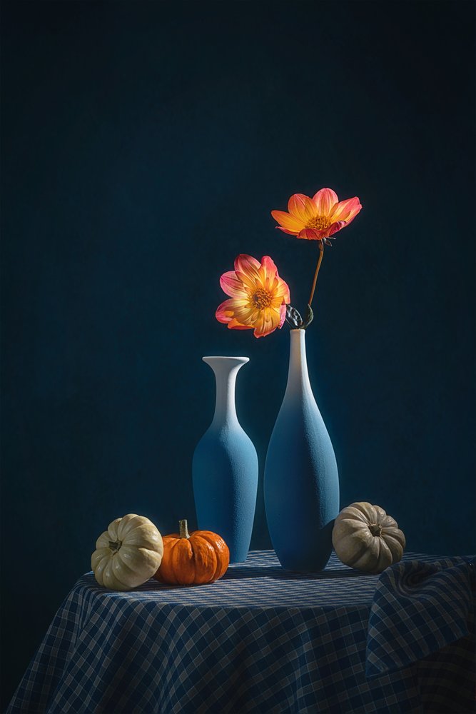 Dalias de otoño en jarrones azules de Lydia Jacobs