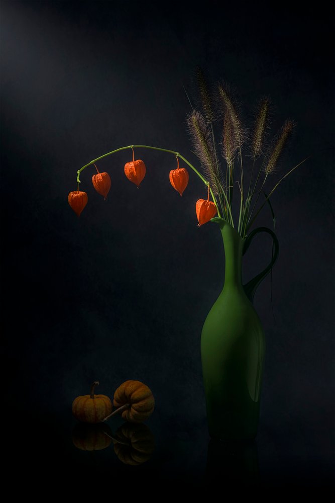 Naturaleza muerta con farolillos de otoño de Lydia Jacobs