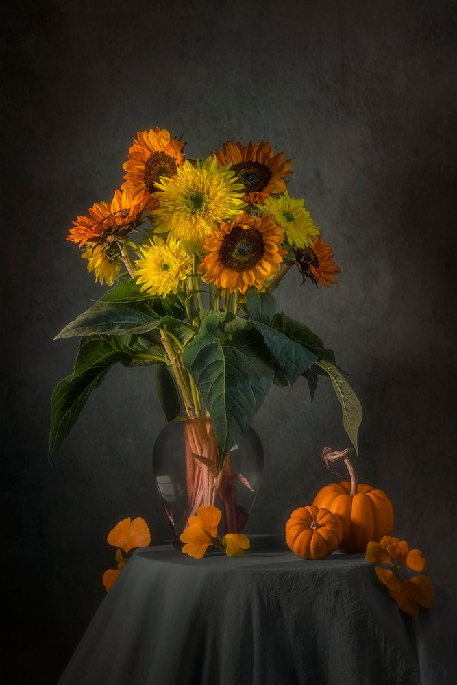 Girasoles y calabazas de otoño de Lydia Jacobs