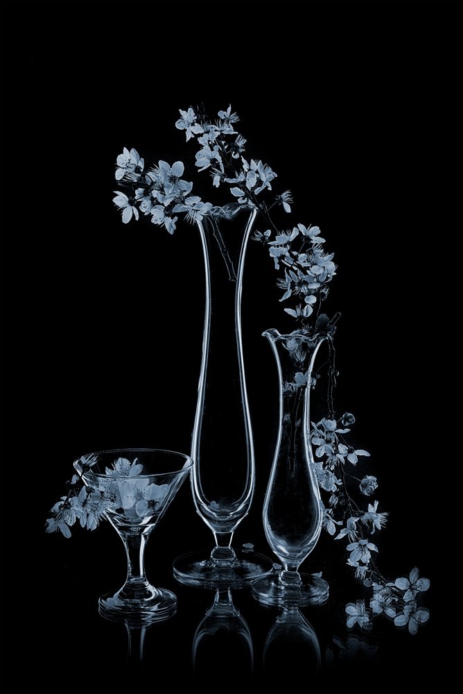 Flores azules en jarrones de cristal de Lydia Jacobs