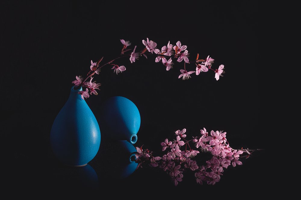 Jarrones azules con flores de cerezo de Lydia Jacobs