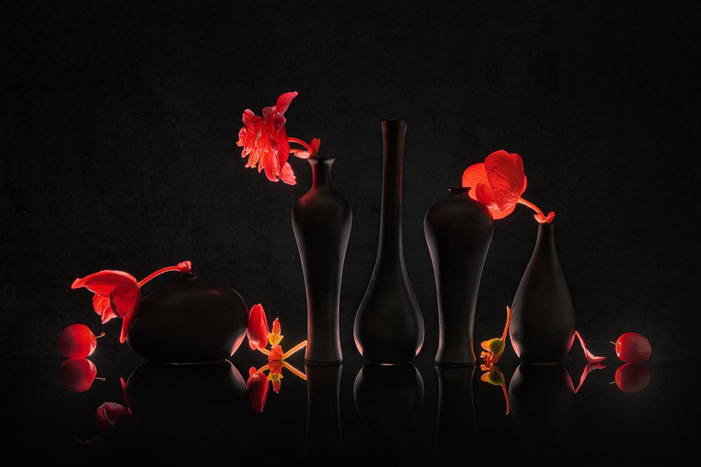 Flores carmesí en jarrones negros de Lydia Jacobs