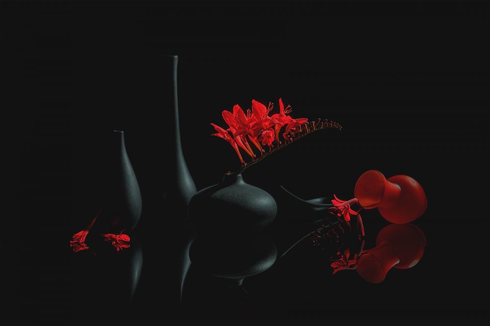 Flores carmesí en jarrones negros de Lydia Jacobs