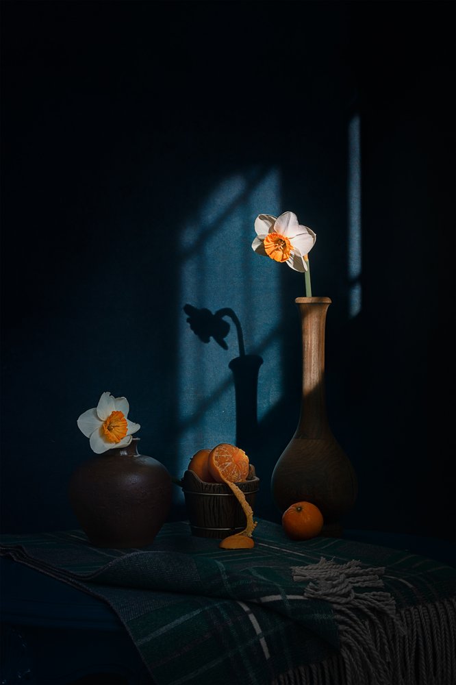 Narcisos y sombras cítricas de Lydia Jacobs
