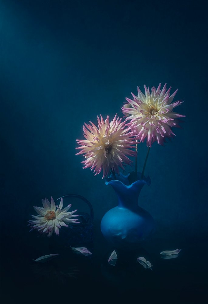 Dalias en un jarrón azul de Lydia Jacobs