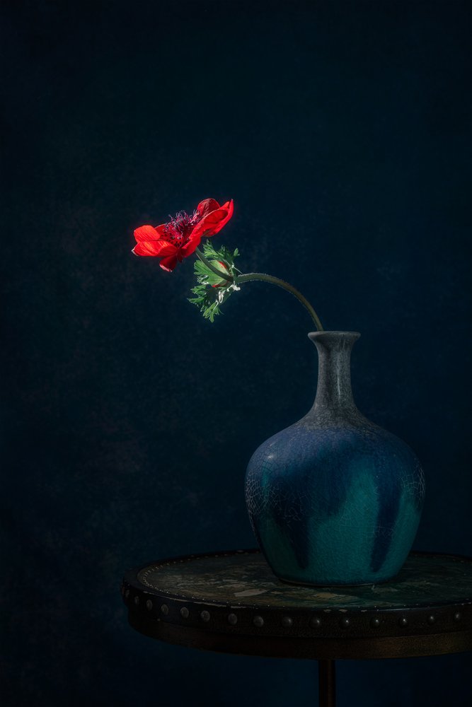 Jarrón «Dark Anemone» de Lydia Jacobs