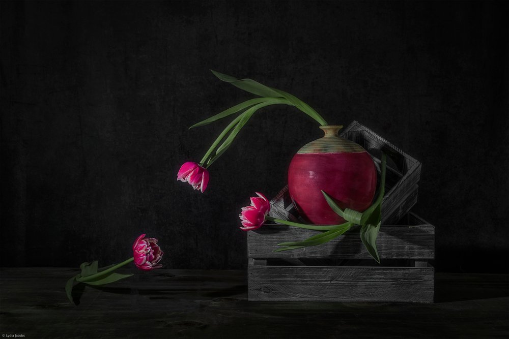 Tulipanes oscuros y rábano de Lydia Jacobs