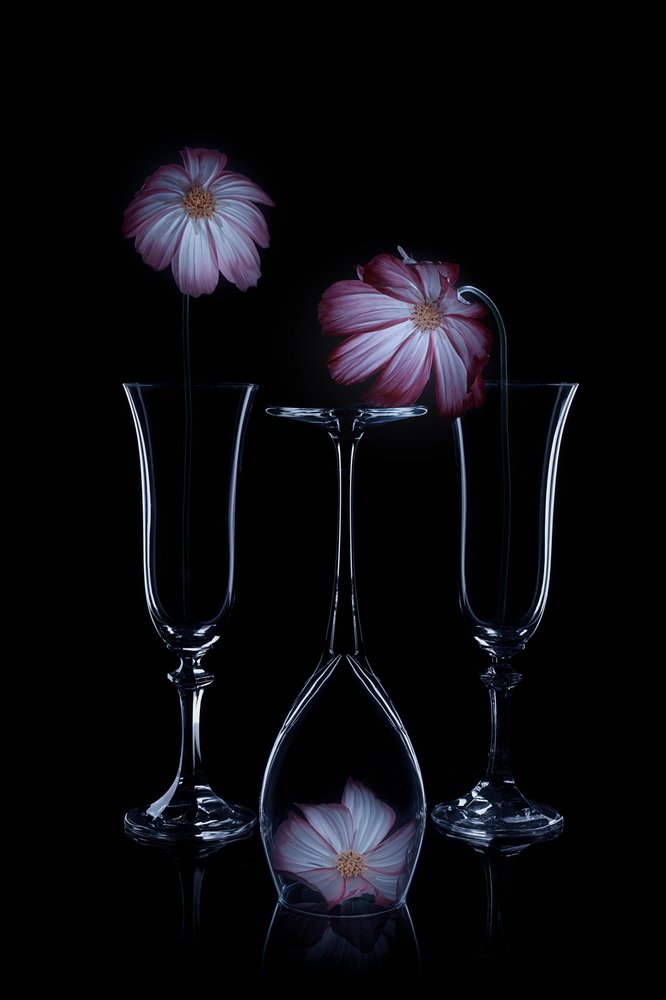 Copas de cristal «Delicate Blooms» de Lydia Jacobs