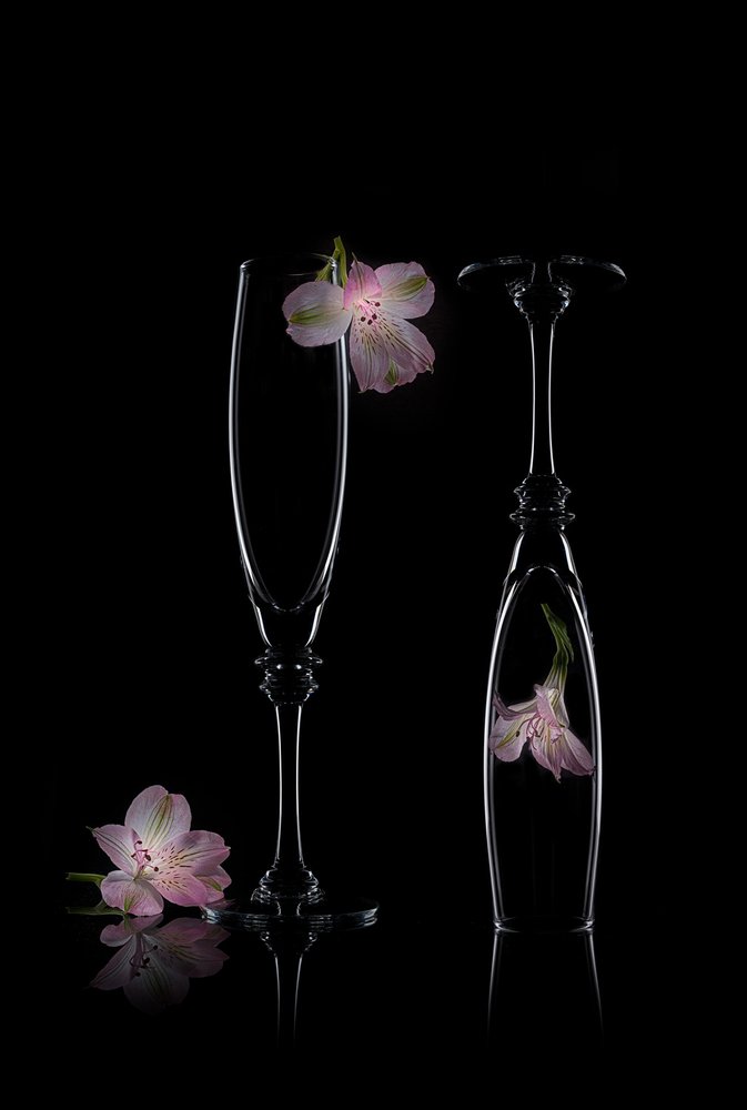 Delicada elegancia floral de Lydia Jacobs
