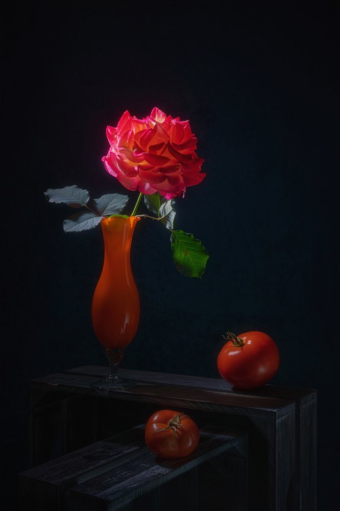 Naturaleza muerta dramática con rosas de Lydia Jacobs