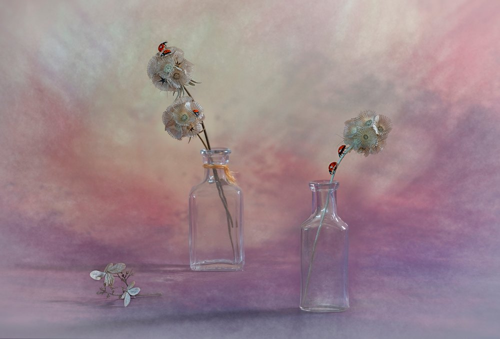 Naturaleza muerta con mariquita de ensueño de Lydia Jacobs