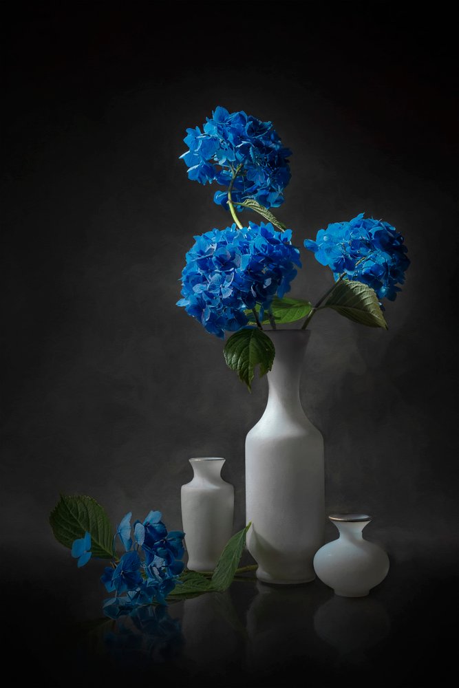 Elegantes hortensias azules de Lydia Jacobs