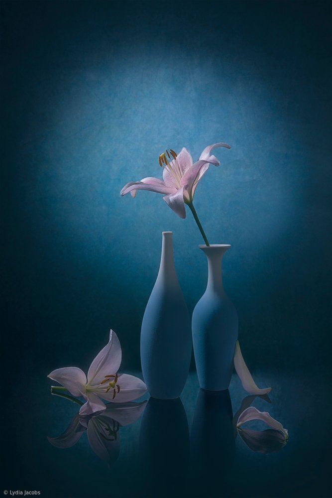 Elegantes lirios azules de Lydia Jacobs