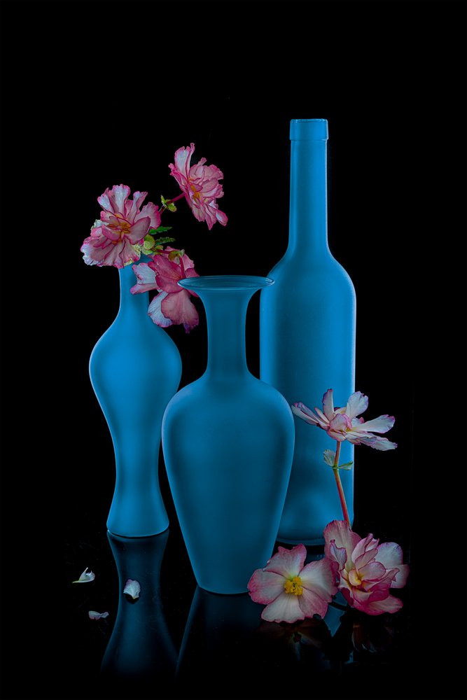 Elegante bodegón azul de Lydia Jacobs