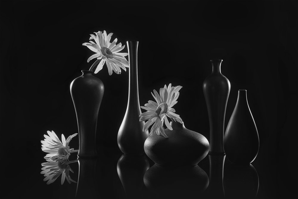 Elegante naturaleza muerta con margaritas de Lydia Jacobs